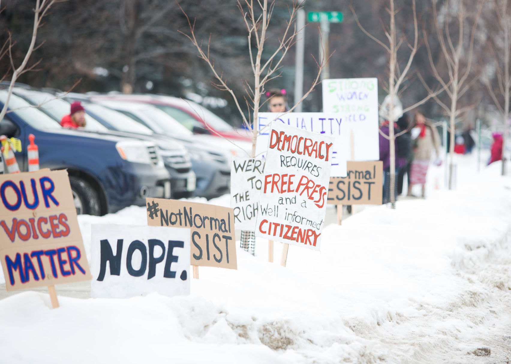 Montana Women's March